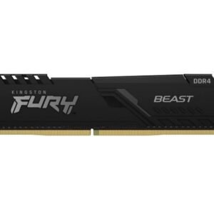 Kingston FURY Beast
